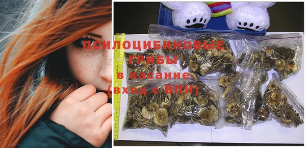 стафф Новозыбков