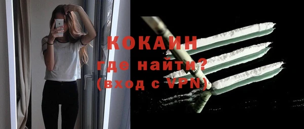 стафф Новозыбков