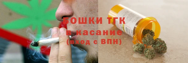 стафф Новозыбков