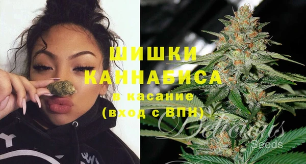 стафф Новозыбков