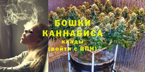 прущие грибы Новокубанск