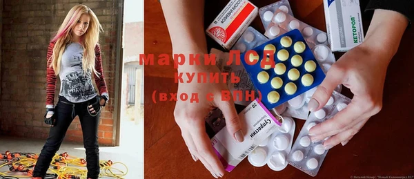 стафф Новозыбков