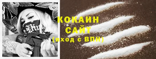 стафф Новозыбков