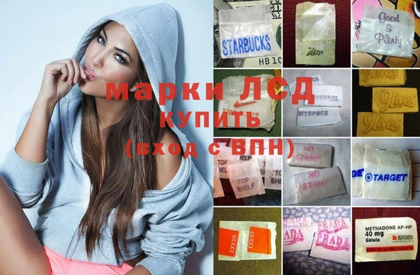 стафф Новозыбков