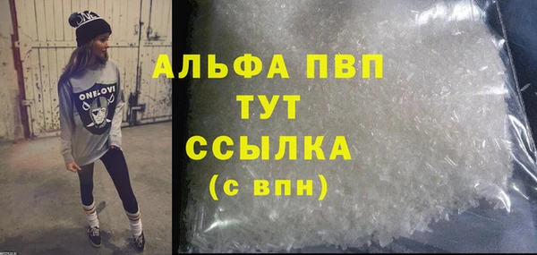 прущие грибы Новокубанск