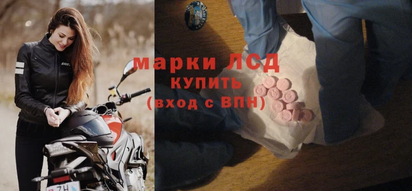 прущие грибы Новокубанск