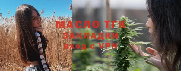 стафф Новозыбков