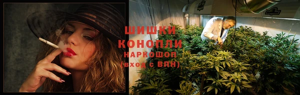 spice Новодвинск