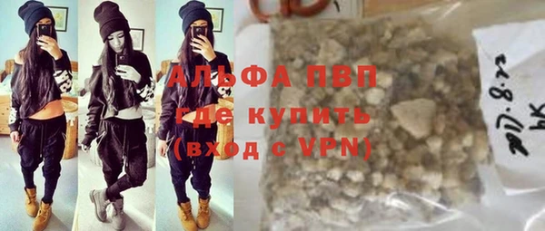 spice Новодвинск