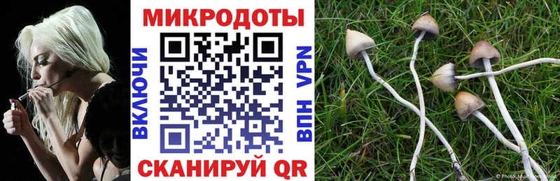 закладки  мега как войти  Галлюциногенные грибы прущие грибы  Поворино 